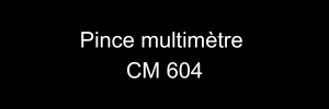 CM 604